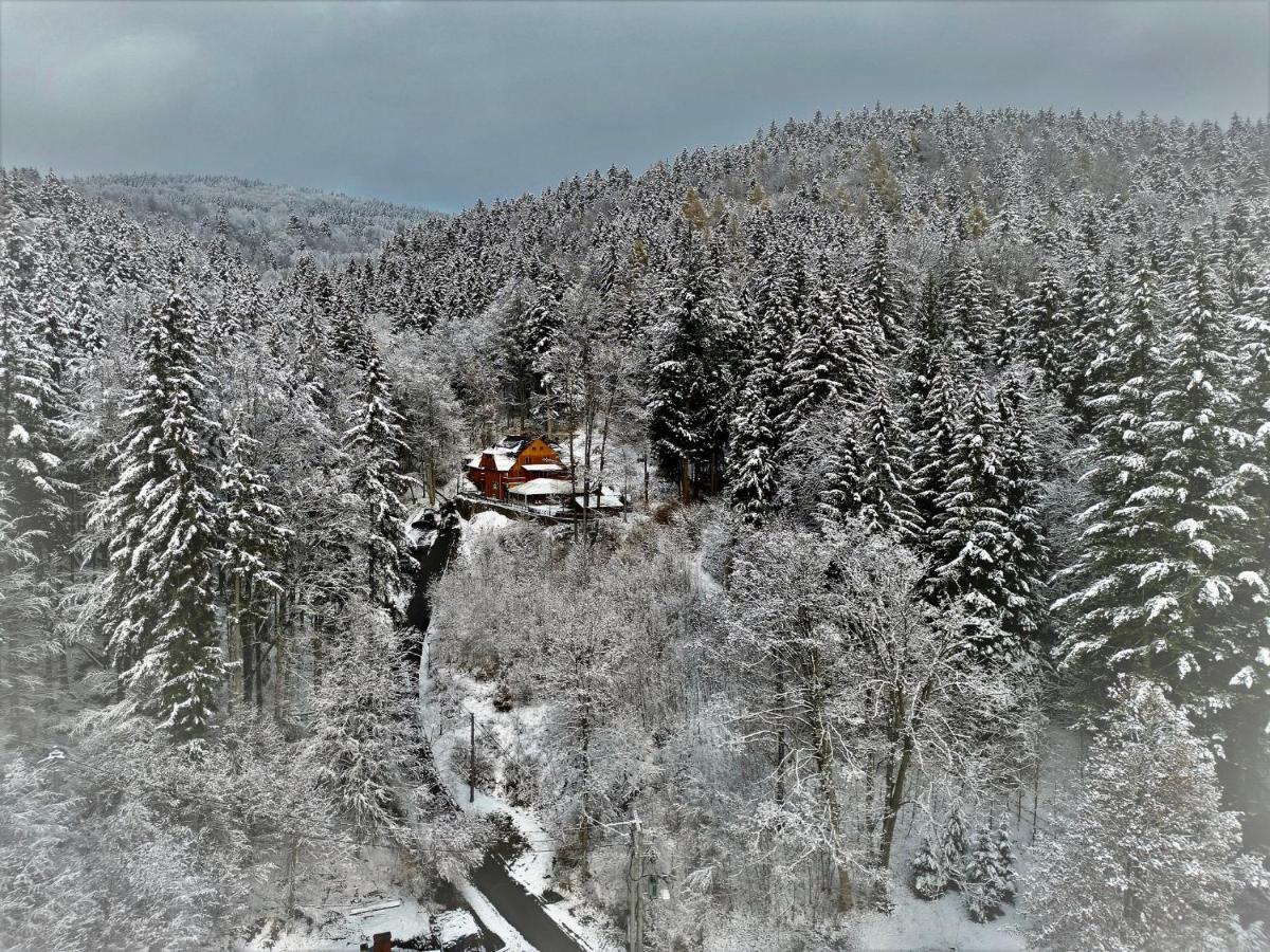 Pensjonat Alpejski Dwór Miedzygorze Eksteriør bilde