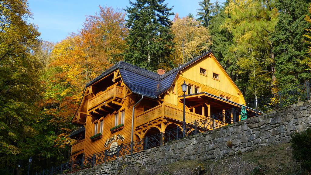 Pensjonat Alpejski Dwór Miedzygorze Eksteriør bilde
